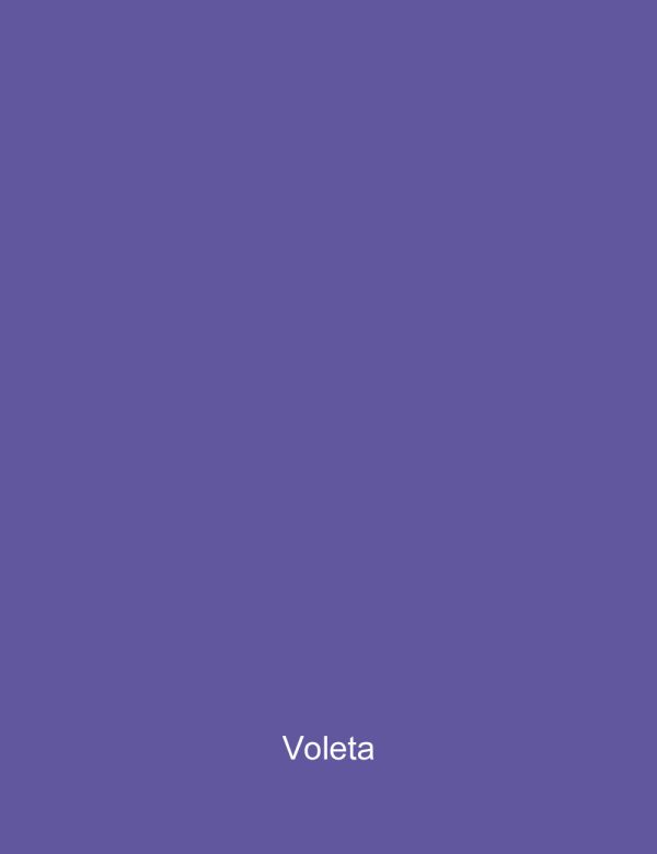 Latex For Export 100% acrilico Violeta x 4 Lts